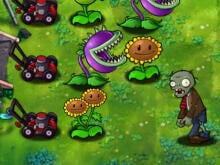 Plants vs Zombies Limited Edition online hra