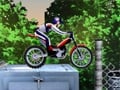 Bike Mania 2 online game