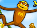 Spider Monkey online hra