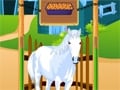 Horse Care Apprenticeships juego en línea