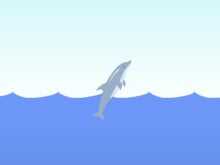 Dolphin Olympics oнлайн-игра