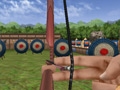 Bow Master online game