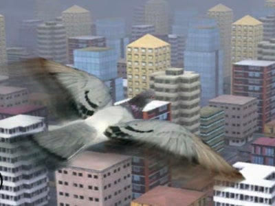 Fly Like a bird 3 juego en línea