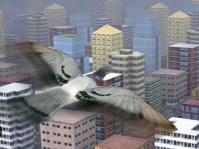 Learn to fly free game