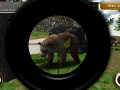 Animal Hunter 3D online hra