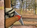 Robin Hood Adventures online game