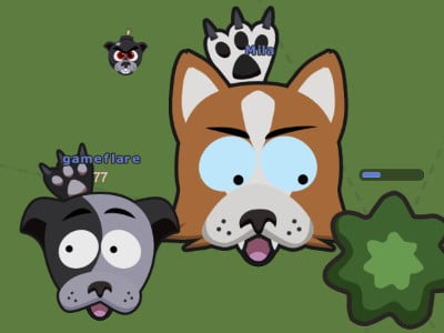 Play Cat vs Dog Online Games for Free at Gimori