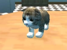 Cat Simulator : Kitty Craft online game