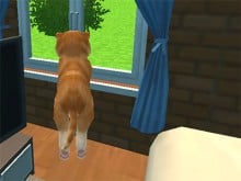 Dog Simulator: Puppy Craft juego en línea