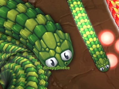 Little Big Snake oнлайн-игра