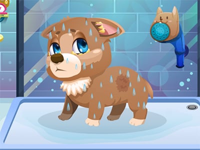 Stray Dog Care - Online Game 🕹️ 