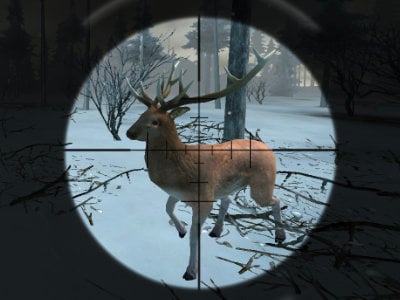 Forest Hunter juego en línea