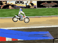 Wild Ride online hra