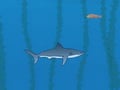 Shark Bait online hra