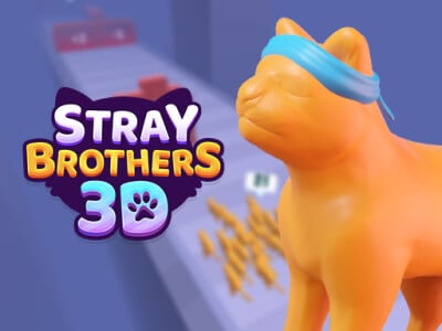 Stray Brothers 3D oнлайн-игра