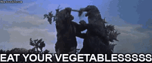 funny picture