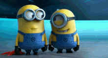 funny picture
