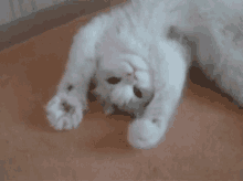 funny picture