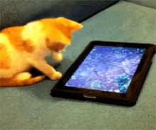 funny picture