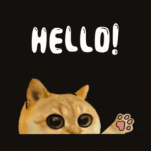 funny picture
