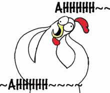 funny picture