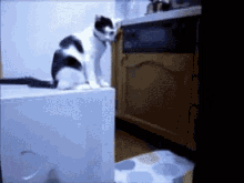funny picture