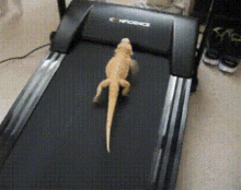 funny picture