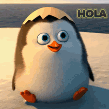 funny picture