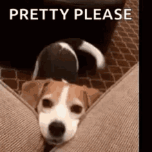 funny picture