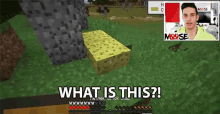 funny picture