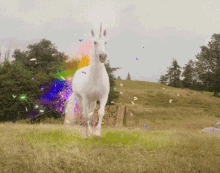funny picture