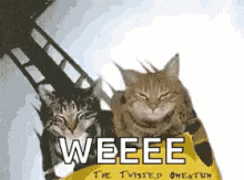 funny picture