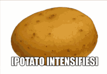 funny picture