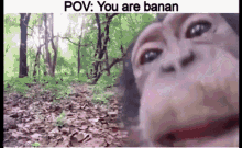funny picture