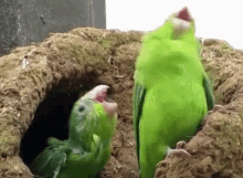 funny picture