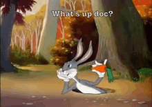 funny picture