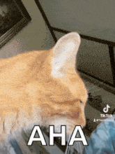 funny picture