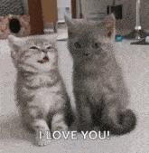 funny picture
