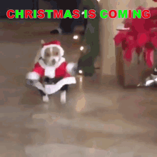 funny picture