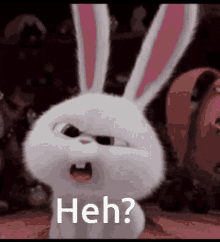funny picture
