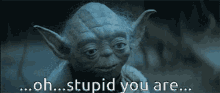 funny picture