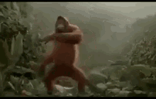 funny picture