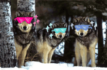 funny picture