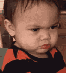 funny picture