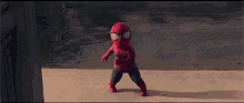 funny picture