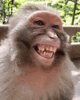 funny picture