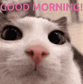 funny picture