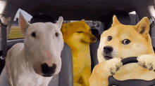 funny picture