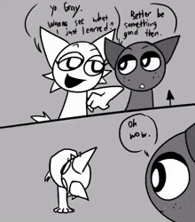 funny picture