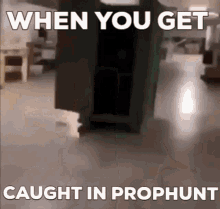 funny picture